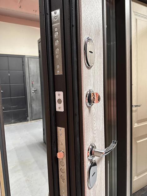 Дверь Entryx Веста Термо Макс ОПТ фото 5