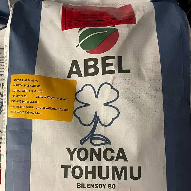 Семена люцерны «Abel Bilensoy 80» (Абель Биленсой 80) фото 2