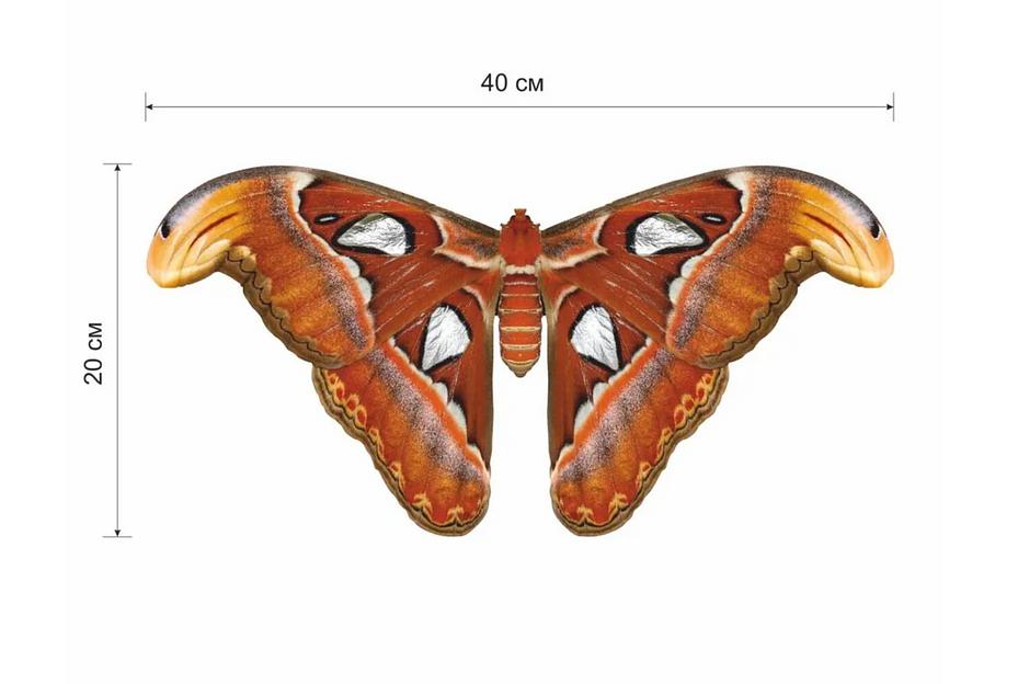 Деревянные пазлы «Павлиногазка атлас» M 40×20 см 194 детали фото 8