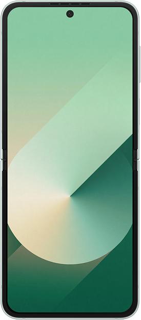 Смартфон Samsung SM-F741B Galaxy Z Flip 6 5G 256Gb 12Gb мятный раскладной 3G 4G 1Sim 6.7" 1080x2640 Android 14 50Mpix 802.11 a/b/g/n/ac/ax NFC GPS GSM900/1800 GSM1900 TouchSc Protect фото 2