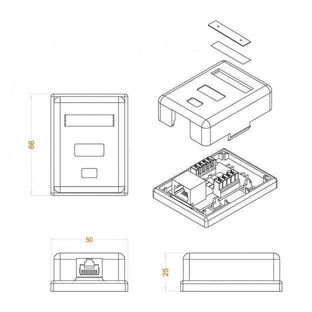 Hyperline SB1-1-8P8C-C6-WH Розетка компьютерная RJ-45(8P8C), категория 6, одинарная, внешняя, Dual IDC фото 2