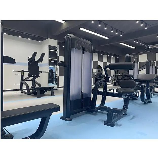 Разгибание спины Insight Fitness TF11 фото 10