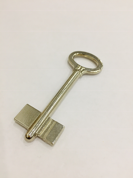 Заготовка ключа ЗТ-1 фото 1