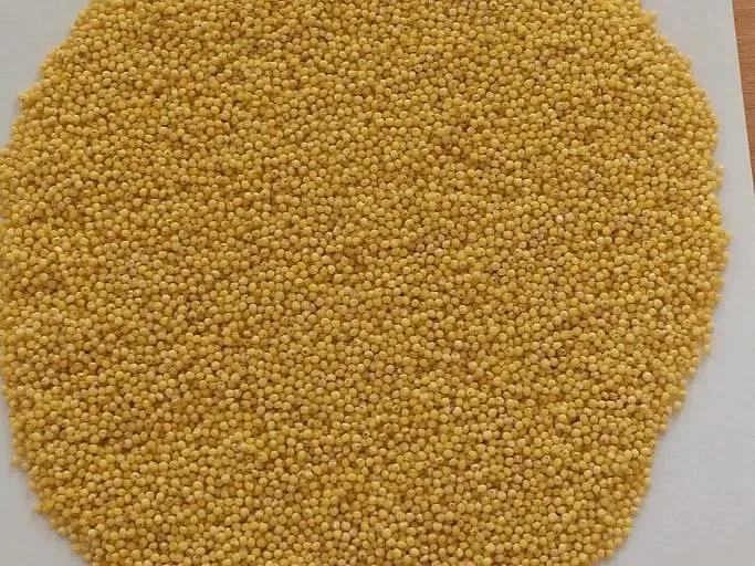 Пшено высшего сорта 50 кг ОПТ  фото 2