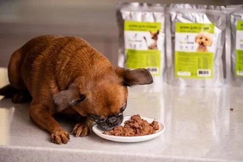 Корм для собак влажный PapaDog Holistic «Говядина с потрошками» 300 г ОПТ фото 3