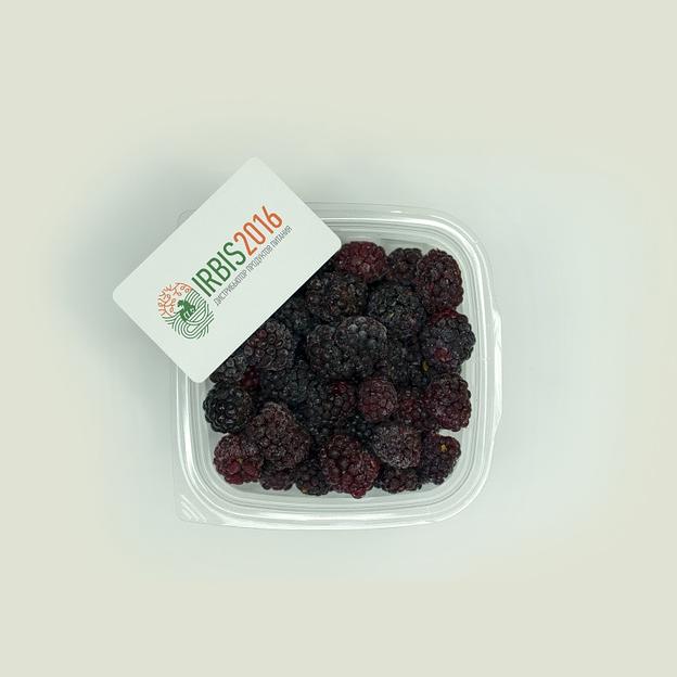 Ежевика замороженная ОПТ фото 1