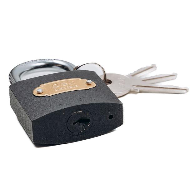 Замок Deli Замок навесной Deli DL508903 стальной, 50мм фото 2