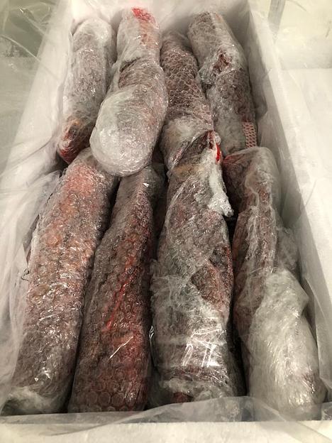 Лобстер канадский (омар) замороженный фото 2