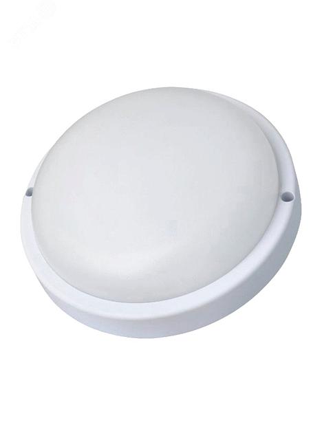 Светильник светодиодный настенно-потолочный для ЖКХ ДБП-25Вт 4000K 2500Лм IP65 круг фото 1