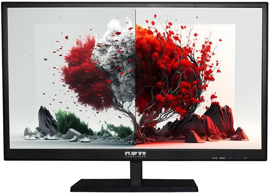 Монитор RDW Computers 23.8" RDW2401K черный IPS 6ms 16:9 HDMI M/M матовая 250cd 178гр/178гр 1920x1080 75Hz VGA DP FHD (RUS) фото 1