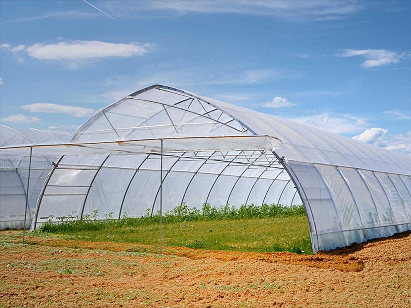 Полиэтиленовая пленка 150 мкм опт фото 3