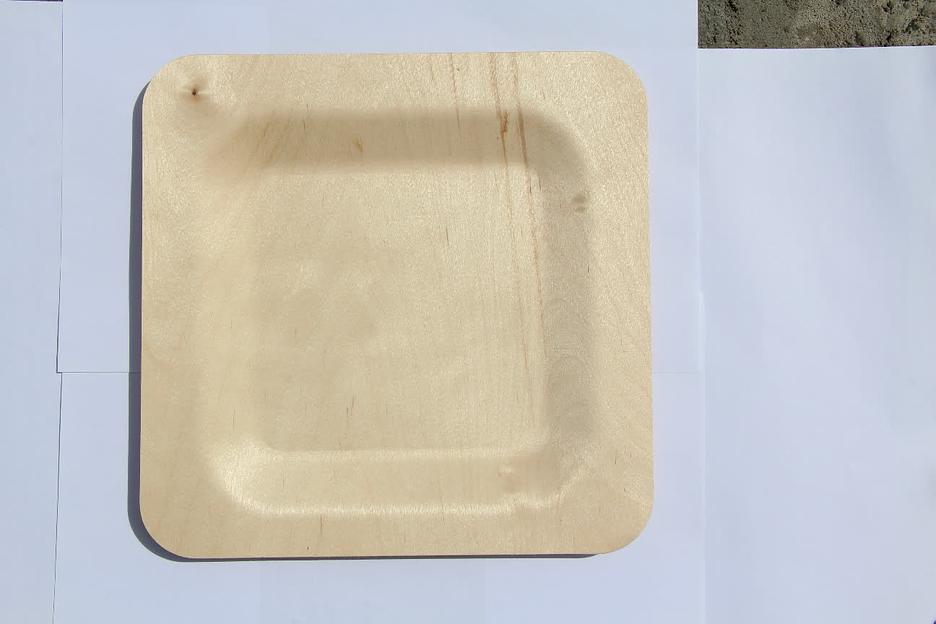 Тарелка для главных блюд одноразовая, квадратная 230 мм фото 7