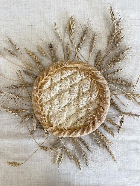 Пирог песочный сладкий Пекарня Ахмадуллиных «Лимонник» 530 г фото 1