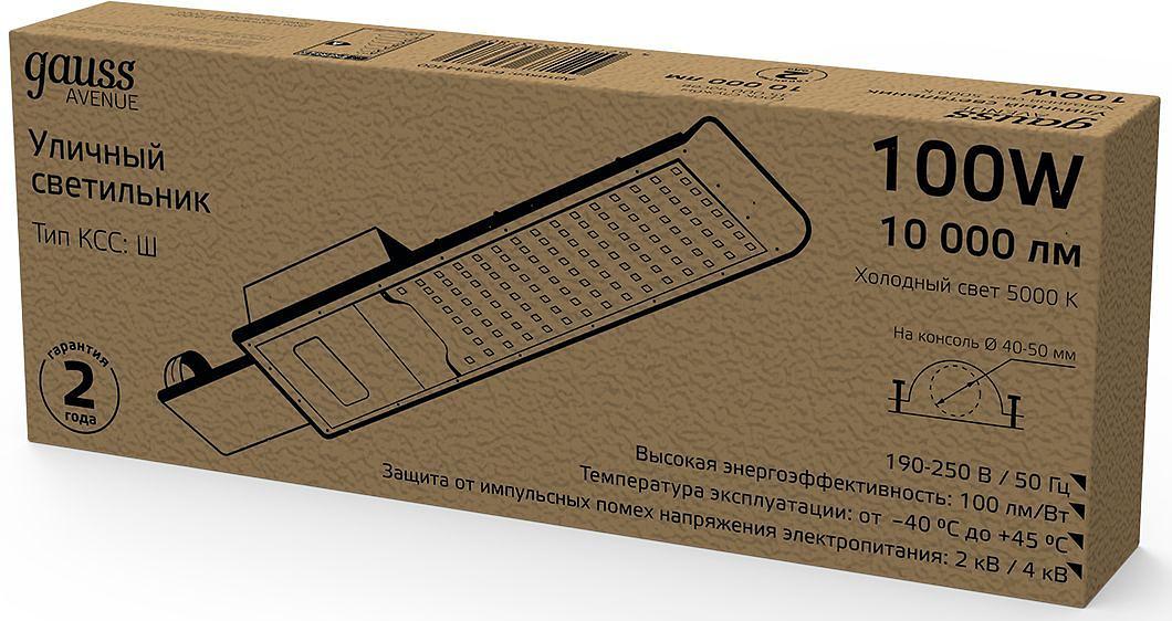 Светильник консольный Gauss 629534300 100Вт ламп.:100шт светодиод.лампа черный фото 1