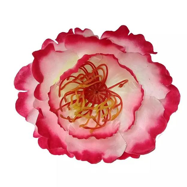 Головка пиона Родэрик 3сл 12см 1-2 436АБ-262(248)-162 1/28 фото 1