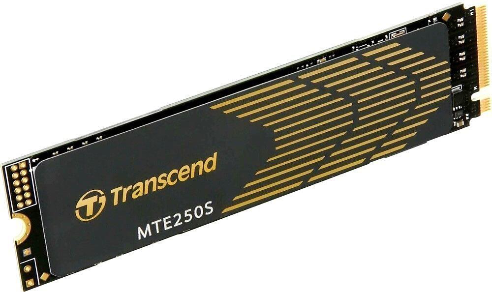 Твердотельный накопитель Transcend TS1TMTE250S фото 1