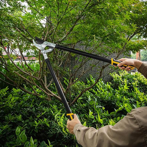 Сучкорез садовый Deli DL580321 770мм, макс. диаметр резки 30мм, сталь 55С фото 3