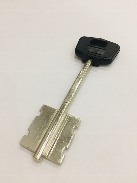 Заготовка ключа CI-9PG (CIZA) OSCAR фото 1