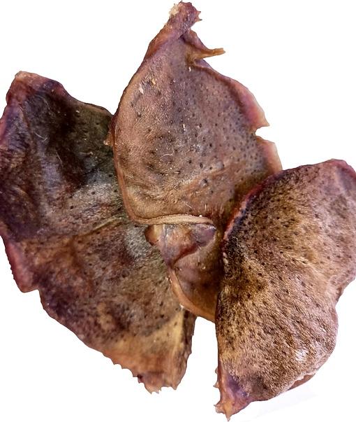 Губа говяжья лакомство для собак 200 г ОПТ фото 2