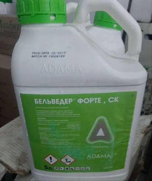 Бельведер Форте, СЭ фото 1