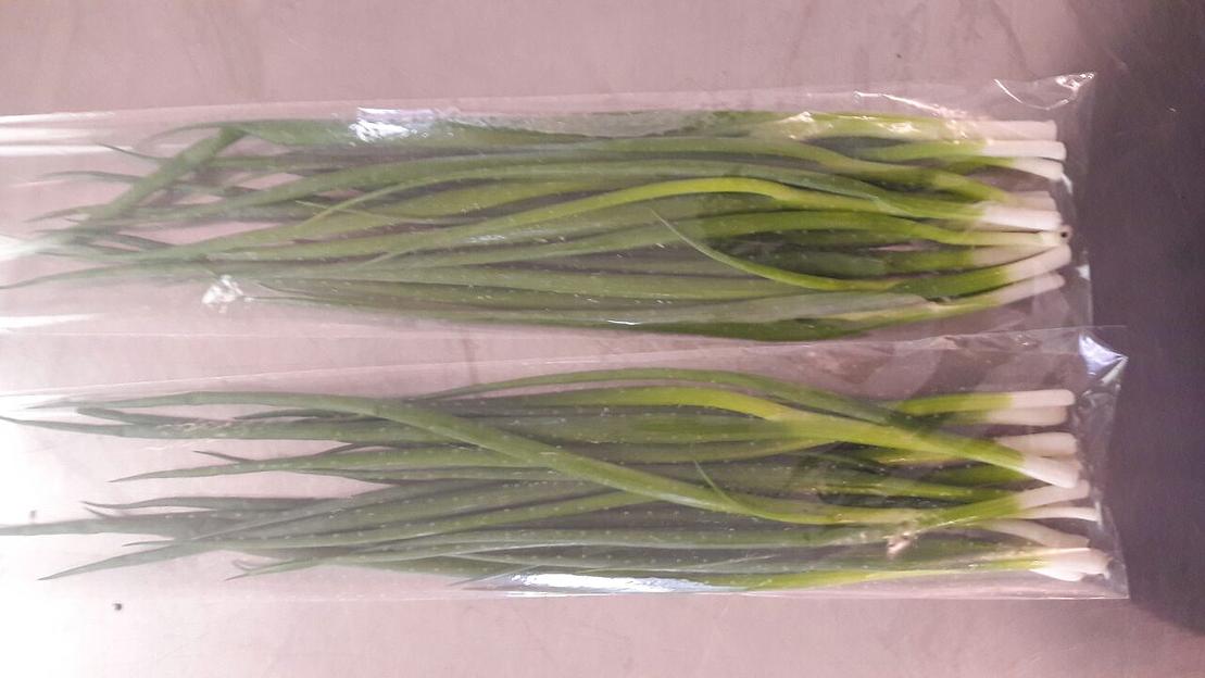 Лук зелёный Alice Garden 50 г ОПТ фото 3