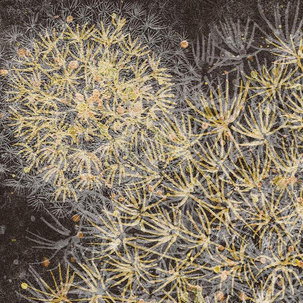 Обои exupery опт фото 7