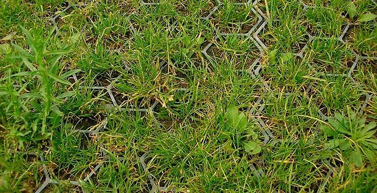 Газонная георешётка фото 4