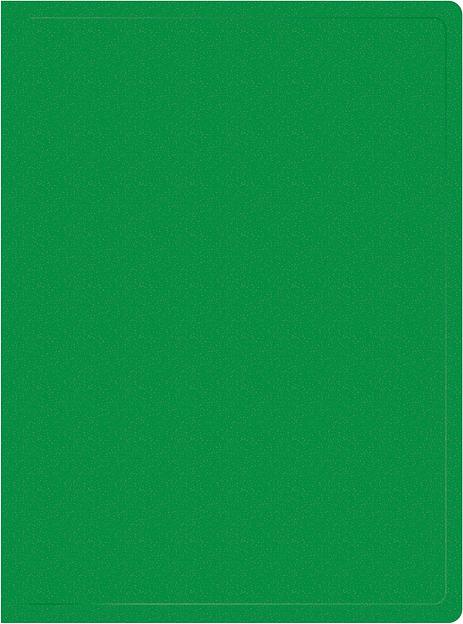 Папка с 20 прозр.вклад. Silwerhof Eco SE-V20GRN A4 пластик 0.5мм зеленый фото 1