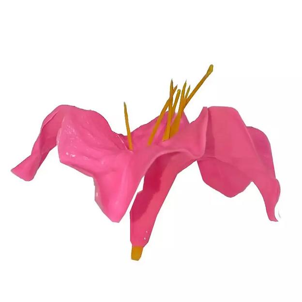 Головка лилии волнистой 9см фото 2