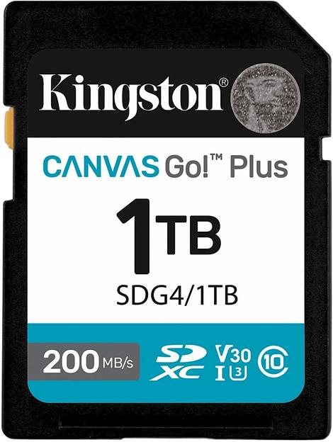 Флеш карта SDXC 1TB Kingston SDG4/1TB Canvas Go! Plus w/o adapter фото 1