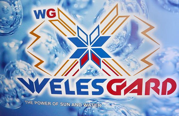 WG-Weleforce Mastic (WG-Велефорс мастик) фото 1