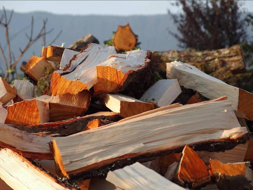 Ольховые дрова фото 1