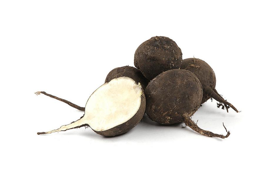 Редька чёрная фото 1