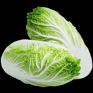 Пекинская капуста, свежая, опт фото 2