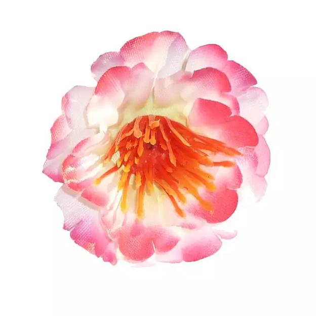 Головка мака 2 слой 038-055-012 1/100 фото 2