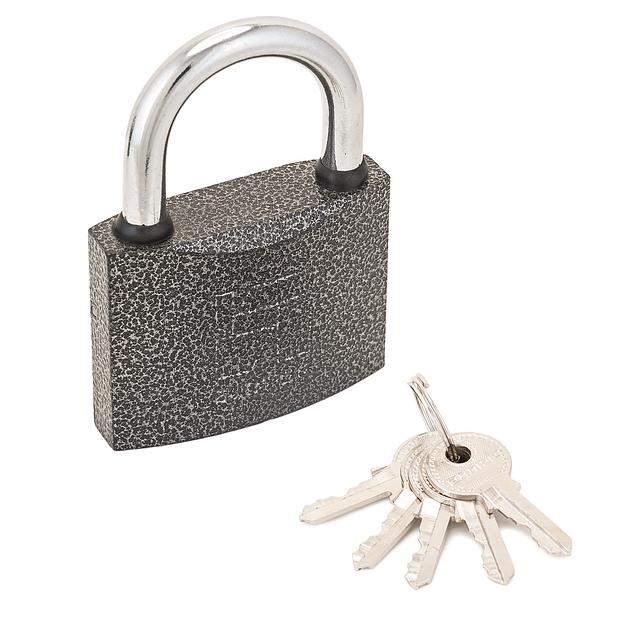 Замок навесной с цилиндровым механизмом секрета, АЛЛЮР ВС1Ч-350 серый фото 1