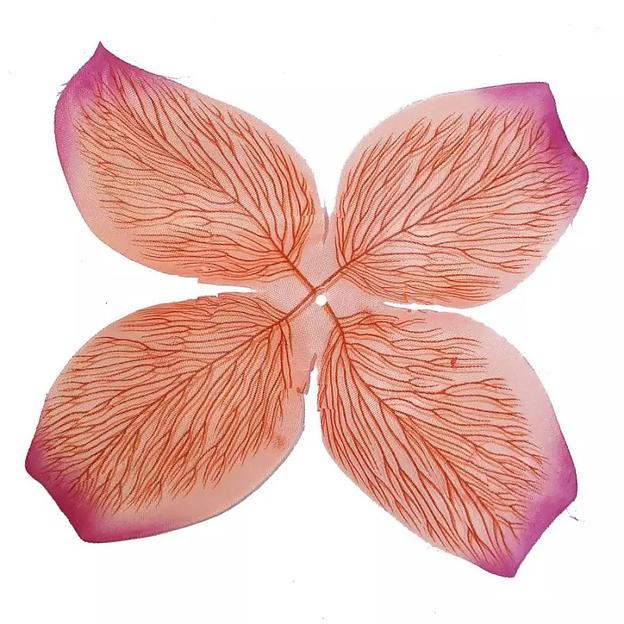 Заготовка для розы FC-132-B Персиковая прожилки 4-кон. (x1) 18,5см 708шт/кг фото 2