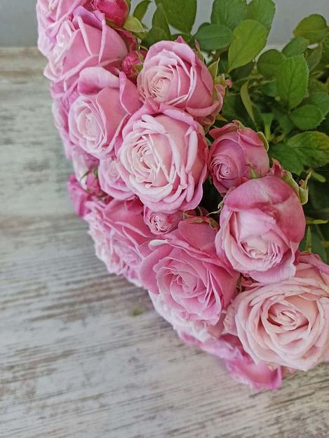 Розы сорта Леди Бомбастик ОПТ фото 3