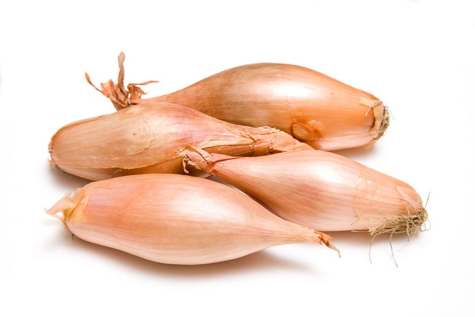 Лук Шалот свежий фото 1