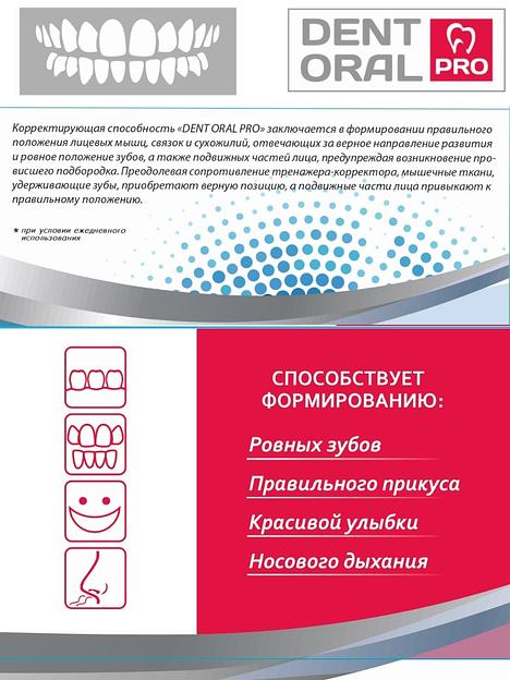 Тренажёр челюстно-лицевых мышц «Dent Oral Pro» ОПТ фото 3