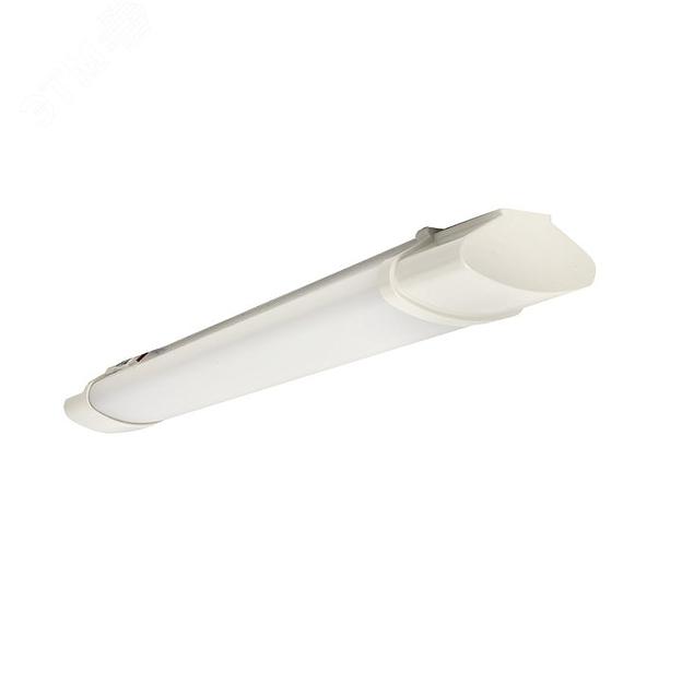 EKF TPL-1002-18-6500 Светильник светодиодный пылевлагозащищенный ДСП-1002 18Вт 6500К IP65 600мм PROxima фото 1