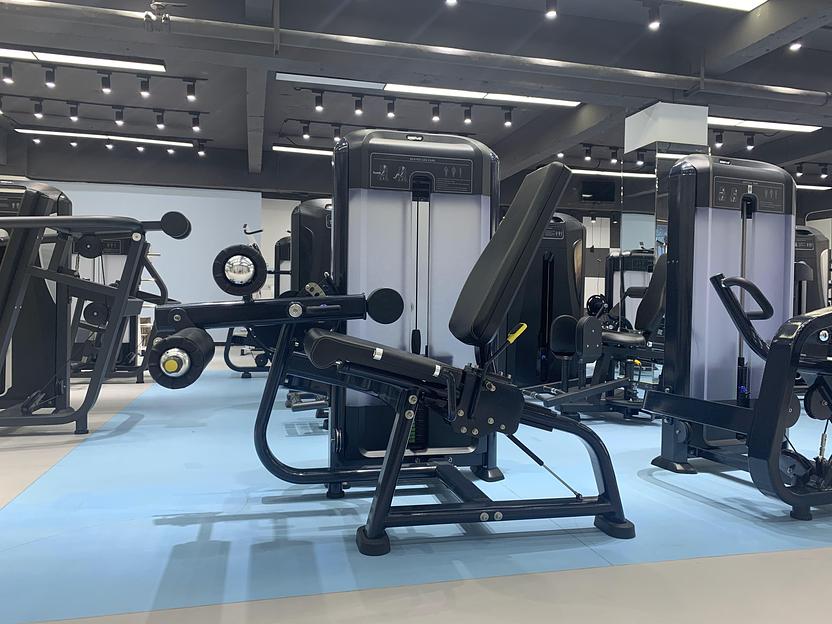 Сгибание ног Insight Fitness TF14 фото 6