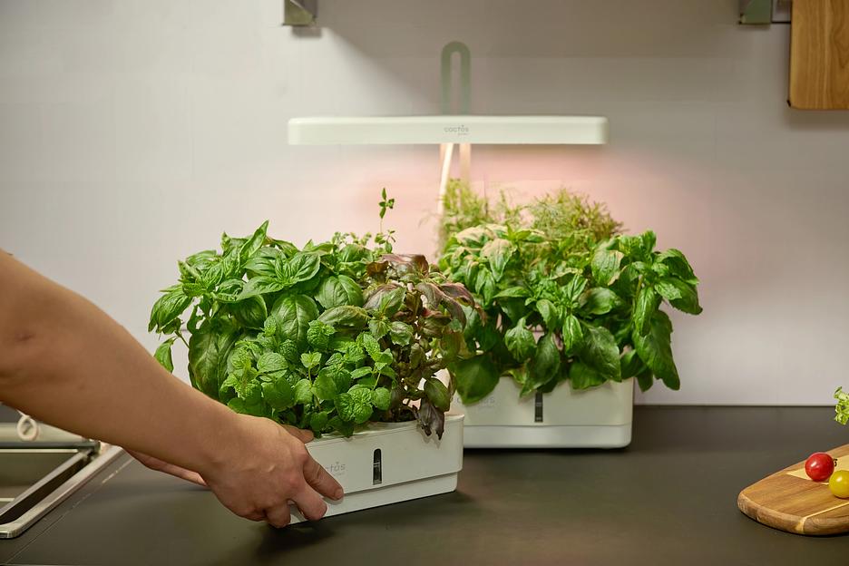 Кашпо Cactus GARDEN 3.0л белый (CS-LEDPOT-08) фото 4