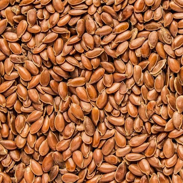 Семена масличного льна «Северный» ОПТ фото 1