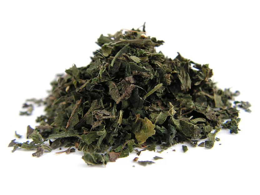 Листья крапивы фото 1