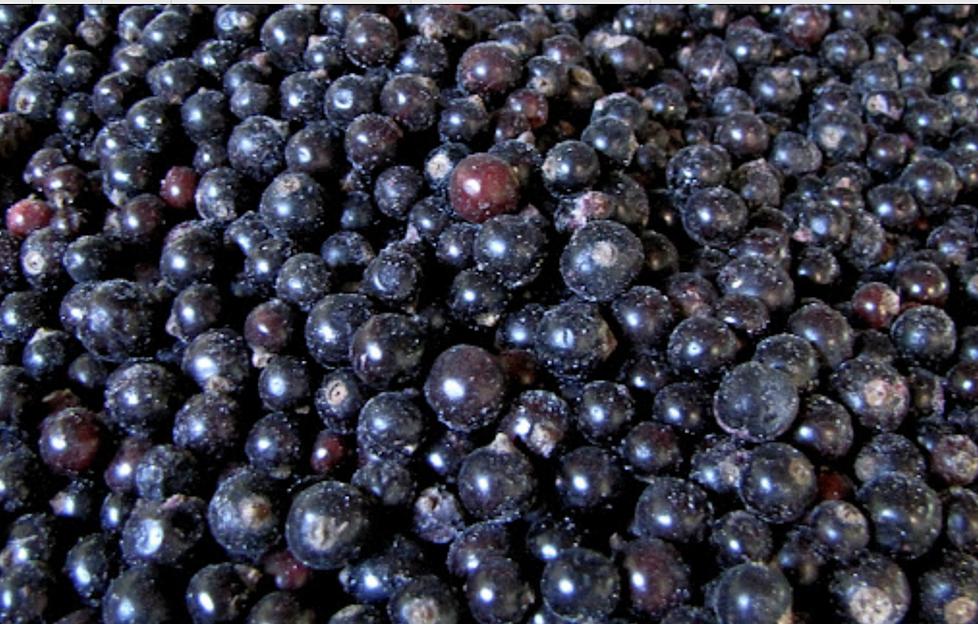 Чёрная смородина замороженная 10 кг, опт фото 1
