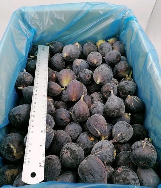 Инжир синий замороженный опт фото 1