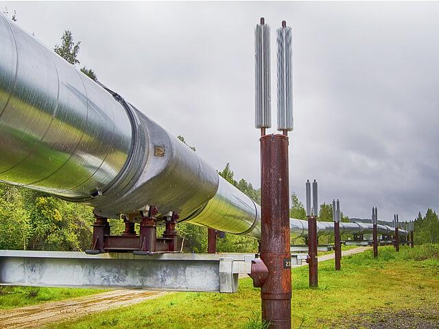 Семена травосмеси для рекультивации трубопроводов опт фото 1