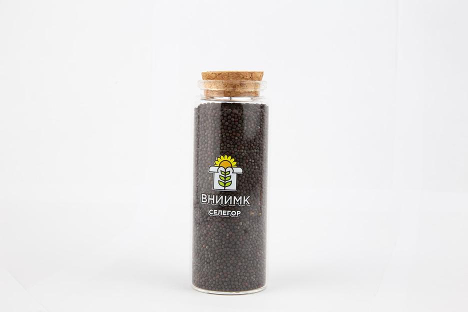 Семена рапса озимого ВНИИМК сорт Селегор фото 1