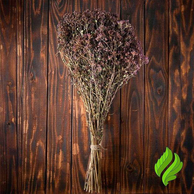 Сбор трав «Душица» для бани опт фото 1